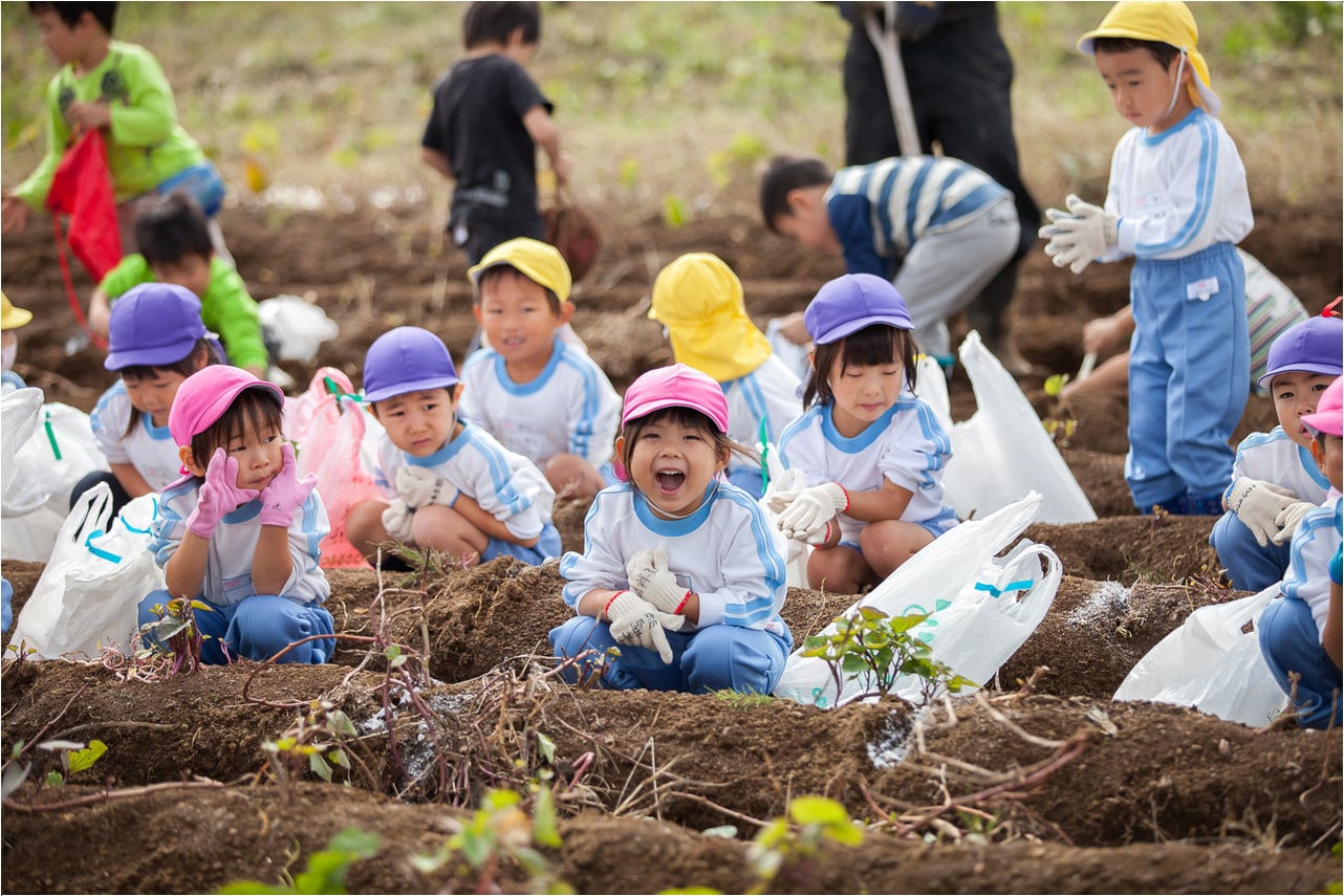 柏さくら幼稚園 トップページ